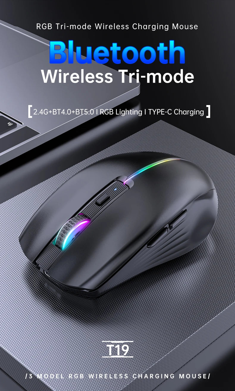Type-c Rechargeable Wireless mouse Bluetooth Mouse RGB USB Ergonomic Gaming Mouse Silent Mouse for Computer Laptop Macbook