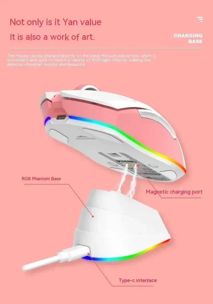 Dareu Em901 Mouse Dual Mode Wireless Charging Base Air PAW3395 Low Latency RGB Gaming Mouse Pc Gamer Accessories Custom Office